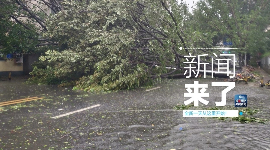 “山竹”怒過，高空塔吊你還好嗎？